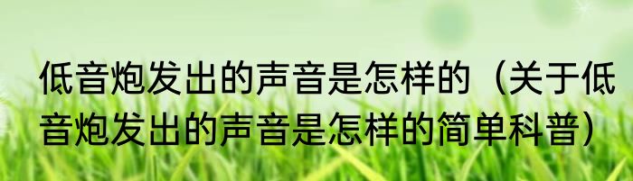 低音炮发出的声音是怎样的（关于低音炮发出的声音是怎样的简单科普）