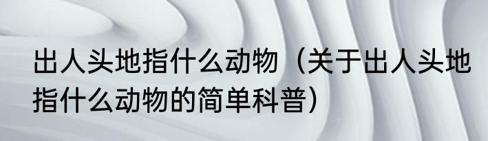出人头地指什么动物（关于出人头地指什么动物的简单科普）
