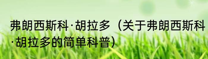 弗朗西斯科·胡拉多（关于弗朗西斯科·胡拉多的简单科普）