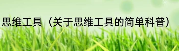 思维工具（关于思维工具的简单科普）