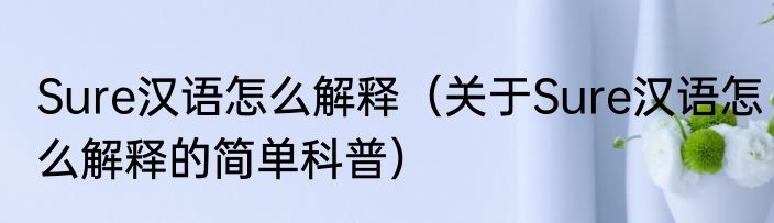 Sure汉语怎么解释（关于Sure汉语怎么解释的简单科普）