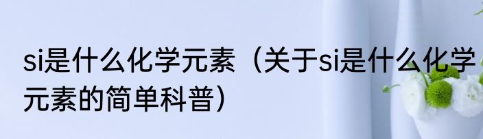 si是什么化学元素（关于si是什么化学元素的简单科普）