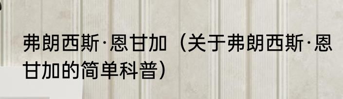 弗朗西斯·恩甘加（关于弗朗西斯·恩甘加的简单科普）