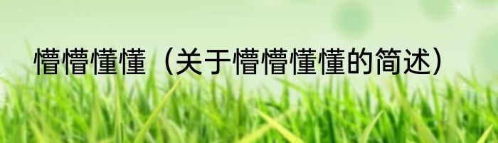 懵懵懂懂（关于懵懵懂懂的简述）