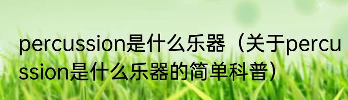 percussion是什么乐器（关于percussion是什么乐器的简单科普）