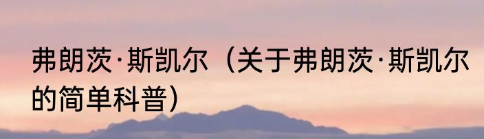 弗朗茨·斯凯尔（关于弗朗茨·斯凯尔的简单科普）