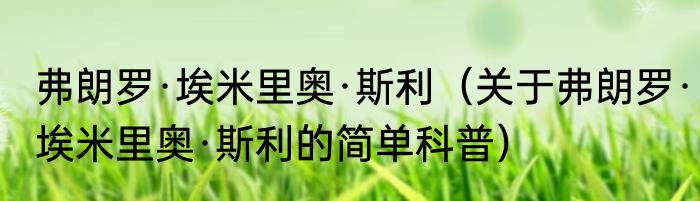 弗朗罗·埃米里奥·斯利（关于弗朗罗·埃米里奥·斯利的简单科普）