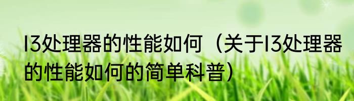 I3处理器的性能如何（关于I3处理器的性能如何的简单科普）