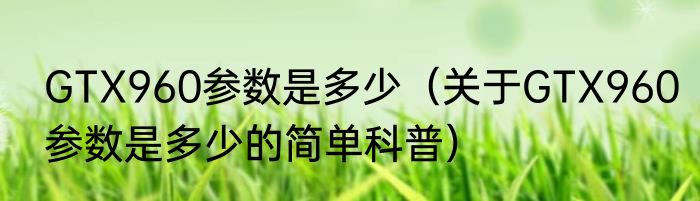 GTX960参数是多少（关于GTX960参数是多少的简单科普）
