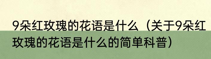9朵红玫瑰的花语是什么（关于9朵红玫瑰的花语是什么的简单科普）