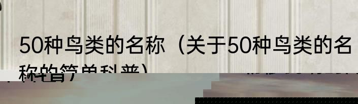 弗朗索瓦·勒穆瓦纳（关于弗朗索瓦·勒穆瓦纳的简单科普）