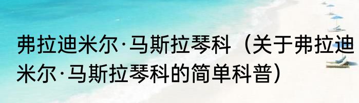 弗拉迪米尔·马斯拉琴科（关于弗拉迪米尔·马斯拉琴科的简单科普）