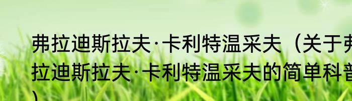 弗拉迪斯拉夫·卡利特温采夫（关于弗拉迪斯拉夫·卡利特温采夫的简单科普）