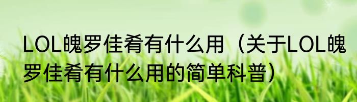 LOL魄罗佳肴有什么用（关于LOL魄罗佳肴有什么用的简单科普）