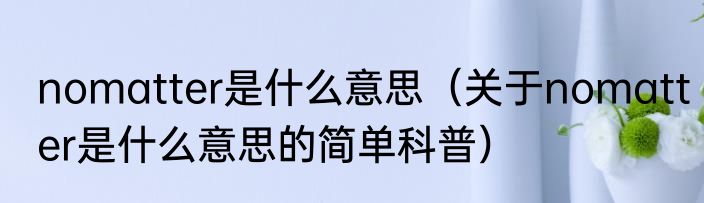 nomatter是什么意思（关于nomatter是什么意思的简单科普）