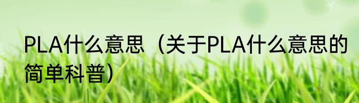 PLA什么意思（关于PLA什么意思的简单科普）