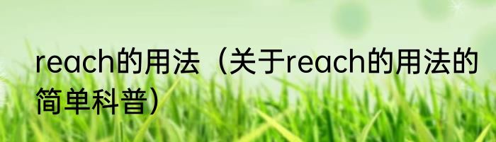 reach的用法（关于reach的用法的简单科普）