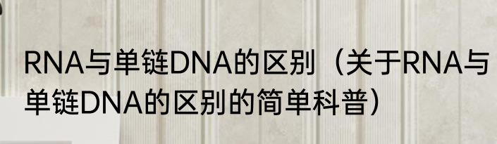 RNA与单链DNA的区别（关于RNA与单链DNA的区别的简单科普）
