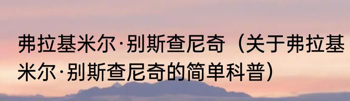 弗拉基米尔·别斯查尼奇（关于弗拉基米尔·别斯查尼奇的简单科普）