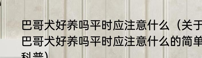 巴哥犬好养吗平时应注意什么（关于巴哥犬好养吗平时应注意什么的简单科普）