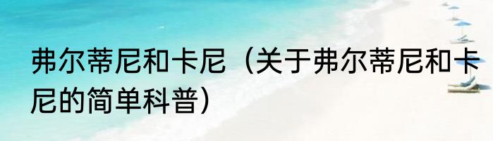 弗尔蒂尼和卡尼（关于弗尔蒂尼和卡尼的简单科普）