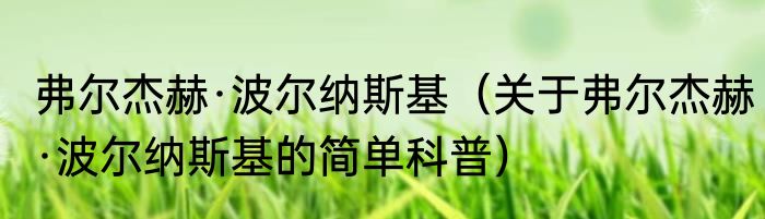 弗尔杰赫·波尔纳斯基（关于弗尔杰赫·波尔纳斯基的简单科普）