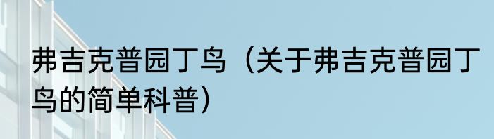 弗吉克普园丁鸟（关于弗吉克普园丁鸟的简单科普）
