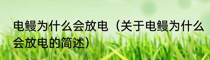 电鳗为什么会放电（关于电鳗为什么会放电的简述）