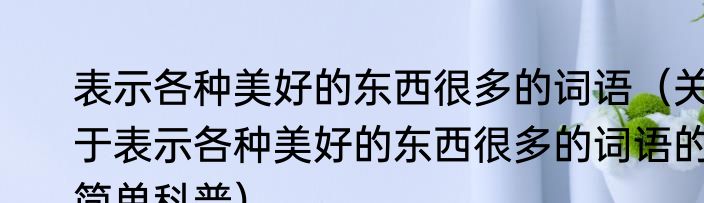 表示各种美好的东西很多的词语（关于表示各种美好的东西很多的词语的简单科普）