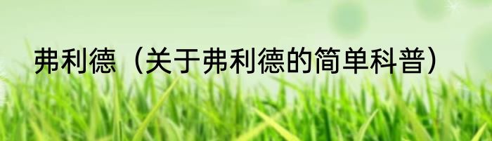 弗利德（关于弗利德的简单科普）