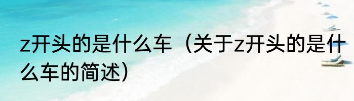 z开头的是什么车（关于z开头的是什么车的简述）