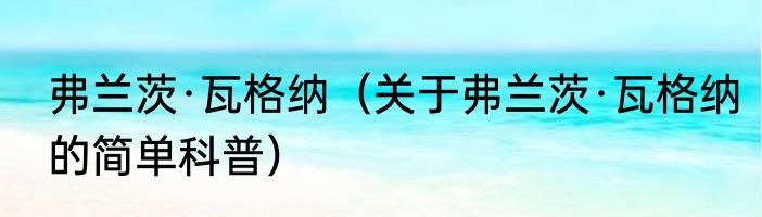 弗兰茨·瓦格纳（关于弗兰茨·瓦格纳的简单科普）
