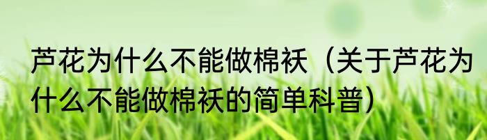 芦花为什么不能做棉袄（关于芦花为什么不能做棉袄的简单科普）