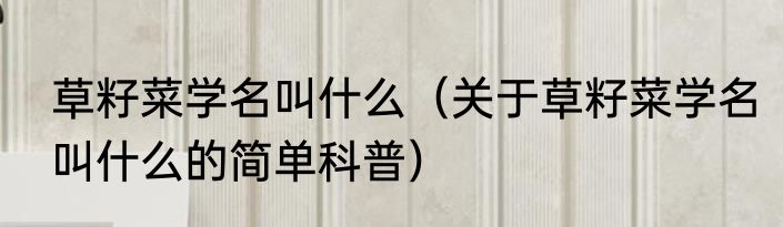 草籽菜学名叫什么（关于草籽菜学名叫什么的简单科普）
