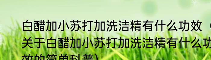 白醋加小苏打加洗洁精有什么功效（关于白醋加小苏打加洗洁精有什么功效的简单科普）