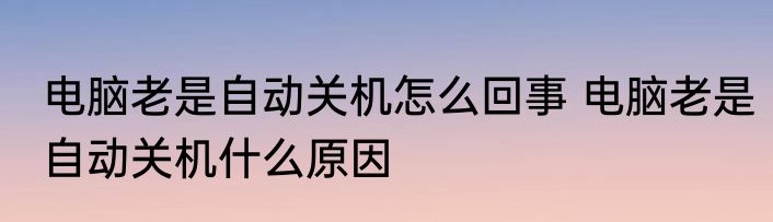 大象的寿命（关于大象的寿命的简单科普）