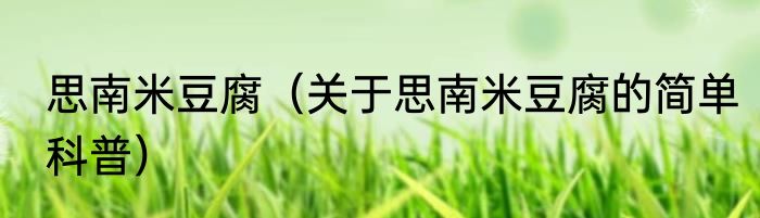 思南米豆腐（关于思南米豆腐的简单科普）