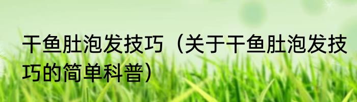 干鱼肚泡发技巧（关于干鱼肚泡发技巧的简单科普）