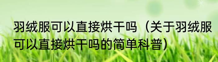 羽绒服可以直接烘干吗（关于羽绒服可以直接烘干吗的简单科普）