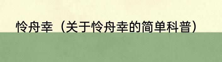 怜舟幸（关于怜舟幸的简单科普）