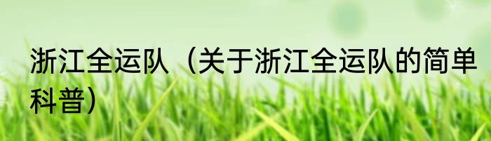 浙江全运队（关于浙江全运队的简单科普）