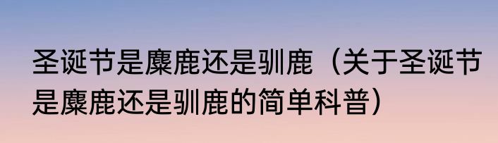 圣诞节是麋鹿还是驯鹿（关于圣诞节是麋鹿还是驯鹿的简单科普）