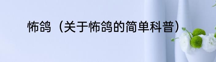 怖鸽（关于怖鸽的简单科普）