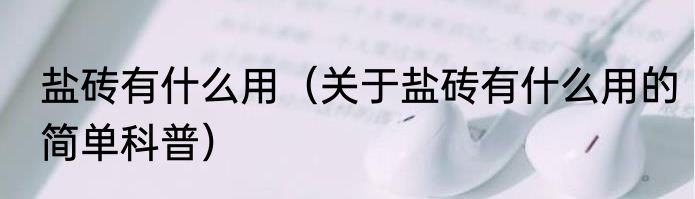 盐砖有什么用（关于盐砖有什么用的简单科普）