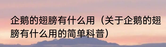 企鹅的翅膀有什么用（关于企鹅的翅膀有什么用的简单科普）