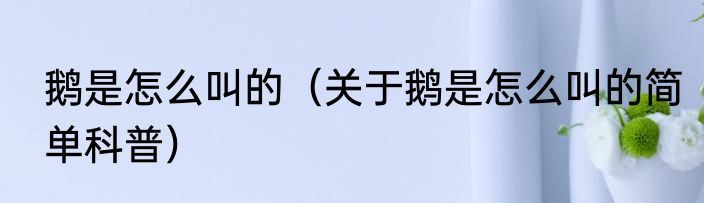 鹅是怎么叫的（关于鹅是怎么叫的简单科普）