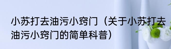 小苏打去油污小窍门（关于小苏打去油污小窍门的简单科普）