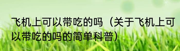 飞机上可以带吃的吗（关于飞机上可以带吃的吗的简单科普）