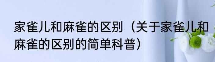 家雀儿和麻雀的区别（关于家雀儿和麻雀的区别的简单科普）