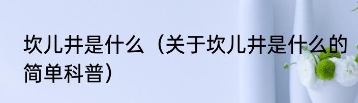 坎儿井是什么（关于坎儿井是什么的简单科普）